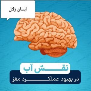 نقش آب در بدن انسان و اهمیت آن